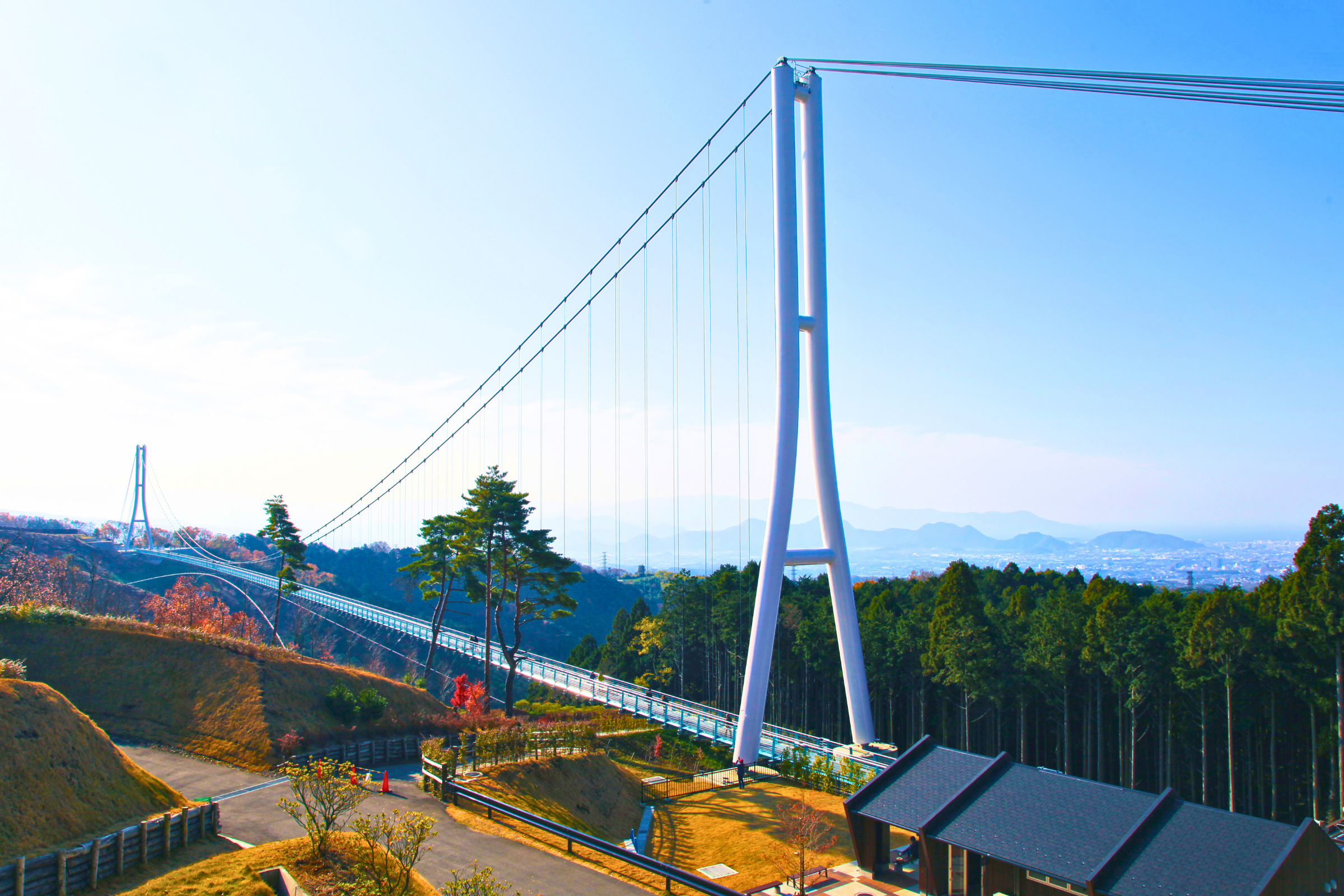 mishima, shizuoka.webp